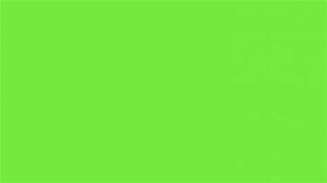 Lime Green Wallpaper - WallpaperSafari