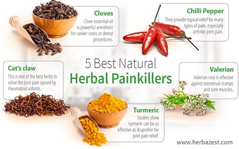 5 Best Natural Herbal Painkillers | Herbalism, Painkiller, Natural pain relief