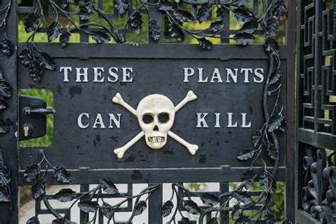 Over 50 People Have Fainted While Touring This English Poison Garden ...