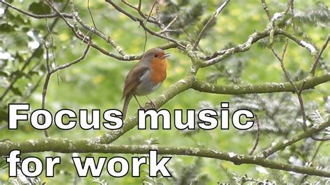 Focus music for work | 2 hours - YouTube