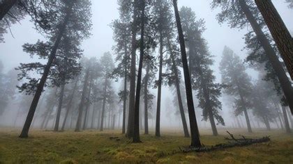 Jemez Mountains Research Learning Center (U.S. National Park Service)