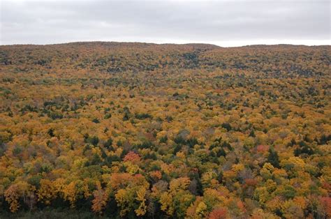 Fall in the Porcupine Mountains