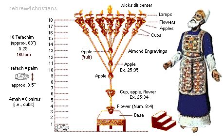 A Closer Look at the Menorah