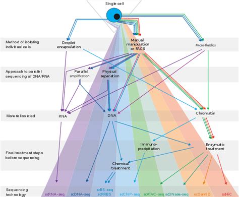 Single cell epigenomics - Wikiwand