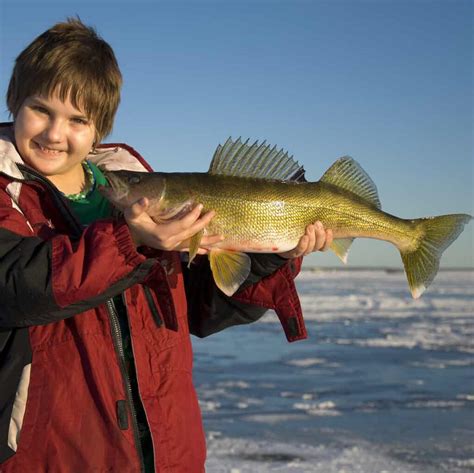 Top 10 Ice Fishing Lakes in Minnesota - Best Fishing in America