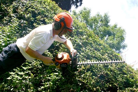 Energy and Industry: Be Safe with These Tips for Proper Hedge Trimming