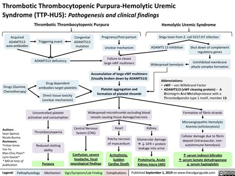 Thrombotic Thrombocytopenic Purpura-Hemolytic Uremic Syndrome (TTP-HUS): Pathogenesis and ...