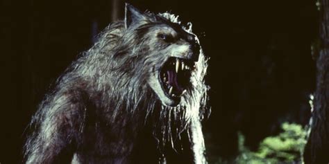 10 Best Werewolf Movies