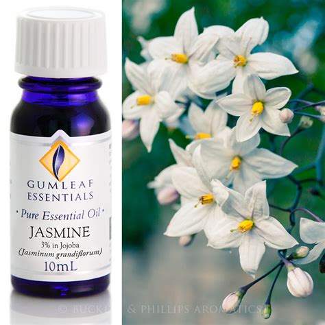 Jasmine Essential Oil