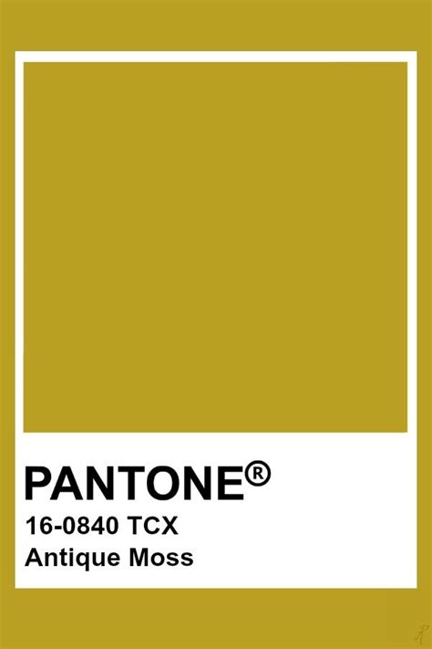 Pantone Antique Moss Pantone Palette, Pantone Swatches, Pantone Colour ...