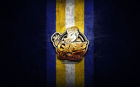 Download wallpapers Erie Otters, golden logo, OHL, blue metal ...