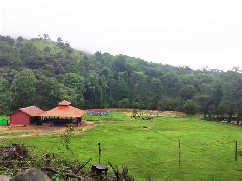 TuskerValley is one of the best Sakleshpur resorts and homestays as We maintain the highest ...