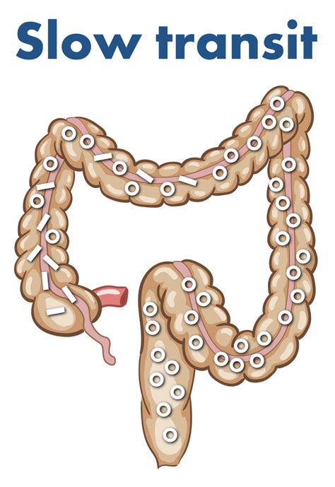 Clinical Guidance – Medifactia