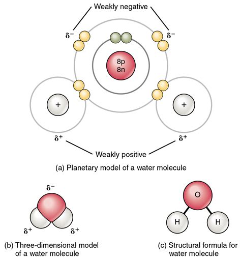 Chemical Bonds · Anatomy and Physiology