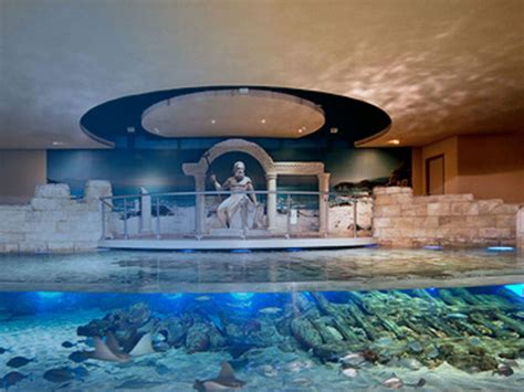 Istanbul Aquarium: Get the Detail of Istanbul Aquarium on Times of India Travel