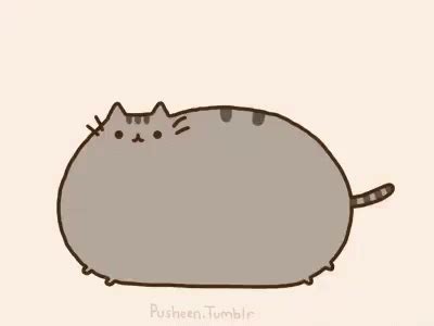 Ball Pusheen GIF - Ball Pusheen Fat - Discover & Share GIFs