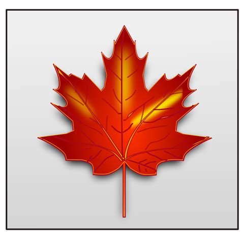 Free Images Of Maple Leaf, Download Free Images Of Maple Leaf png ...