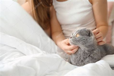 Cute cat with owner in bed at home - Stock Photo , #AFF, #owner, #cat ...