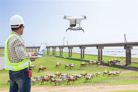 Monitoring and Moving Livestock On The Farm Using Drones