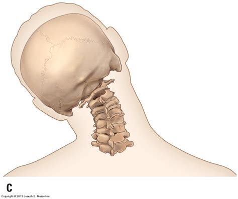 Axial and nonaxial ranges of motion of the Cervical Spine