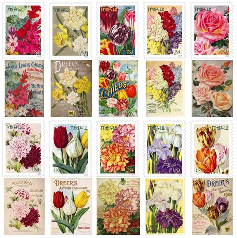 Source of the images used on USPS "Botanical Art" stamps ...