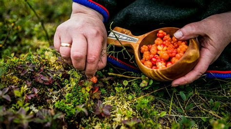 Where to experience Sámi art and culture in Norway - Lonely Planet