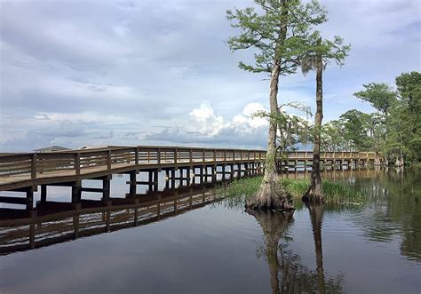 Lake Waccamaw State Park - Island Life NC