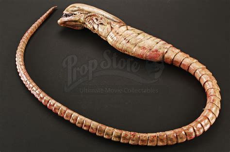 Alien Chestburster Puppet | Prop Store - Ultimate Movie Collectables ...