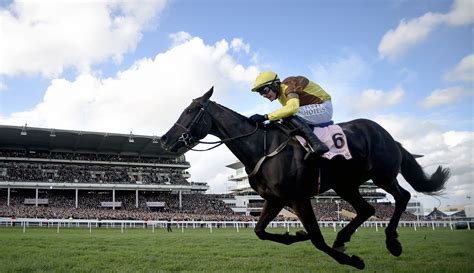 Cheltenham Gold Cup glory for Galopin Des Champs - The Owner Breeder