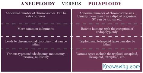 Difference between Aneuploidy and Polyploidy - KnowsWhy.com