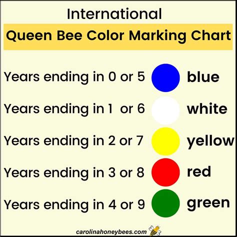 How to Mark a Queen Bee Safely- Carolina Honeybees