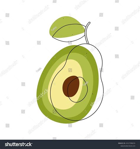 Avocado Outline Exotic Fruit Lines Colored Stock Vector (Royalty Free ...