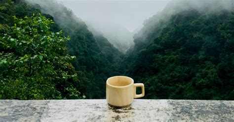 Tea Ceremony - Tradition in the Zen Garden — Aelita Leto