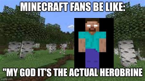 gaming herobrine Memes & GIFs - Imgflip