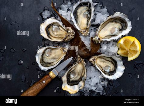 France, Gironde, Bassin d'Arcachon, oysters platter Stock Photo - Alamy