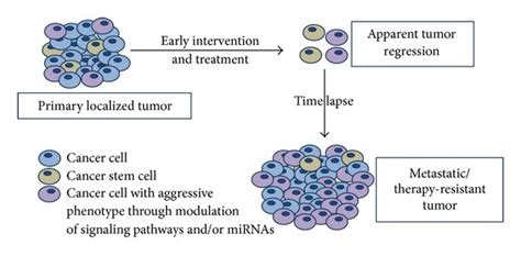 Current understanding of breast tumor recurrence. Breast cancers ...