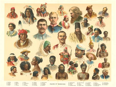 Races of Mankind; Johnson's Universal Cyclopedia, 1896 - Art Source ...