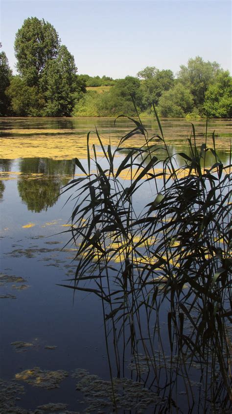 Brockbank Lake, Langford Lakes nature... © Derek Harper :: Geograph ...