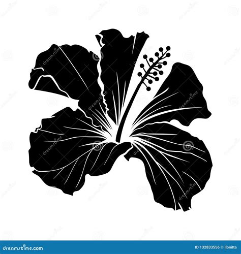 Hawaiian Hibiscus Laser Cut Silhouette Vector. Stock Vector - Illustration of exotic, flower ...