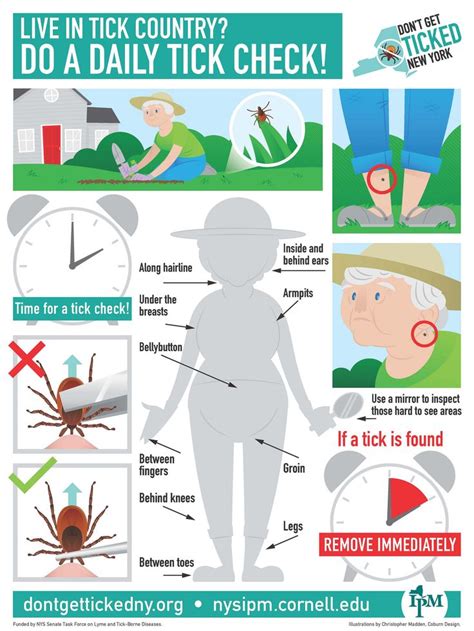 Do a Daily Tick Check | Ticks, Infographic poster, Infographic