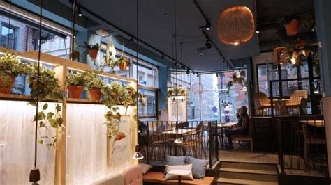 Waynes Coffee launches new café concept and gets a new look