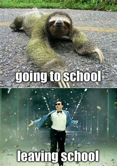 Teacher humor. Going to school vs Leaving school. | Funny school pictures, Funny animal quotes ...