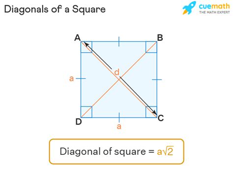 What Is A Square