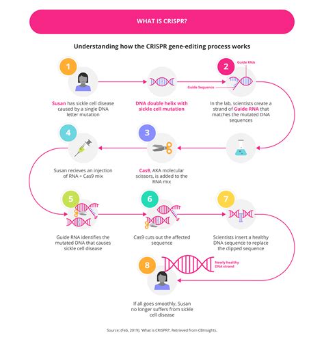 Methods and Mechanisms for Genetic Manipulation of Plants, Animals and Microorganisms ...