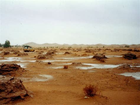 Desert Rain In The Sahara, Morocco | I had travelled for 8 y… | Flickr