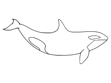 Easy Orca Whale Coloring Page - Free Printable Coloring Pages for Kids