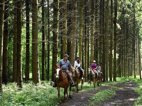 Highland Forest: Green space offers hiking, sleigh rides, horseback riding and outdoor fun ...