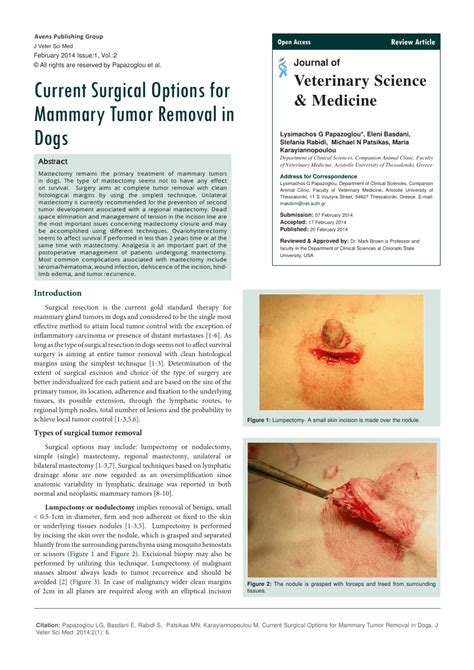 (PDF) Current Surgical Options for Mammary Tumor Removal in Dogs