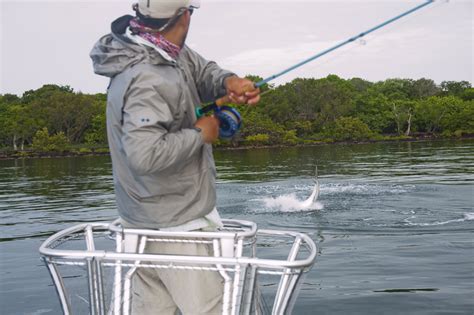 fly fishing for tarpon in the Keys - Dunns Sporting Goods