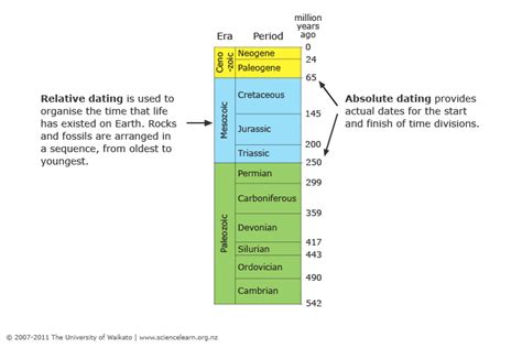 Absolute and relative dating examples | What is the difference between relative dating and ...